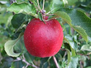 slideshow-3.jpg